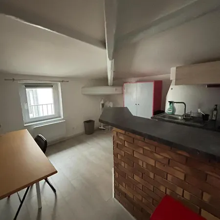 Charming, quiet&central studio Clermont-Ferrand